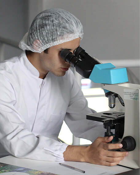 Conference